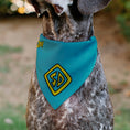 Load image into Gallery viewer, Pet Bandana - Scooby Doo Logo Centered and Collage Blue/Yellow
