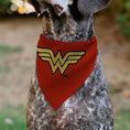 Load image into Gallery viewer, Pet Bandana - Wonder Woman WW Logo Red/Black/Yellow
