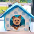 Load image into Gallery viewer, Parisian Pet 'Cotton Candy House' (S) for Dogs & Cats - Soft, Cozy, Durable, Washable Blue Pet House for Small Pets
