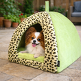 Load image into Gallery viewer, Parisian Pet 'Safari Cove' for Dogs & Cats - Durable, Comfortable, Washable Green Safari Pet Bed, Perfect for Small Pets
