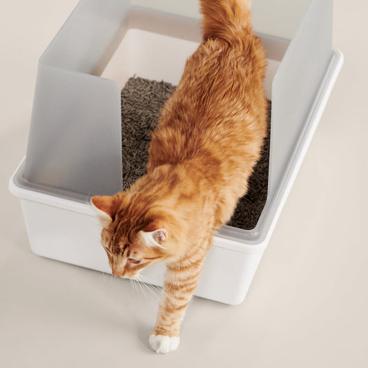 Cubby Litter Box - Southlake Paws