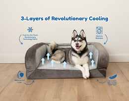 PupChill™ Cooling Bolster Dog Bed 