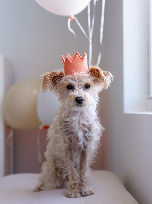 NEUTRAL PARTY CROWNS 