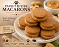 Load image into Gallery viewer, Organic Peanut Butter Macaron Dog Treats Sandwich Cookies for Dogs
