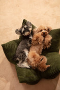 Load image into Gallery viewer, OULU X PEHOM - CUDDLE PET PILLOW BED- Navy Blue / Olive Green / Canyon Brown

