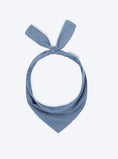 Load image into Gallery viewer, CLASSIC BANDANA - Southlake Paws
