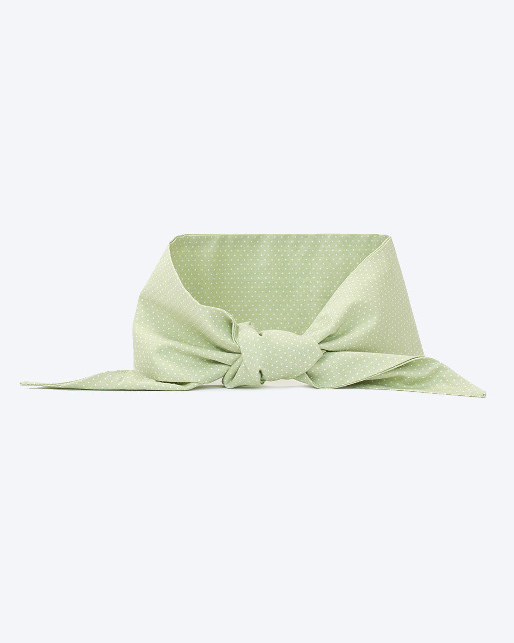 CLASSIC NECKTIE - Southlake Paws