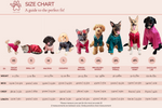 Margo Pet Pajama Set