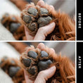 Load image into Gallery viewer, THE BALM
