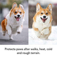 Load image into Gallery viewer, THE BALM
