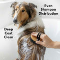 Load image into Gallery viewer, THE BATH BRUSH
