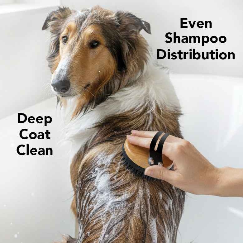 THE BATH BRUSH