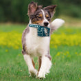 Load image into Gallery viewer, Philadelphia Eagles #1 Fan Toy
