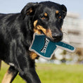 Load image into Gallery viewer, Philadelphia Eagles #1 Fan Toy
