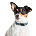 Load image into Gallery viewer, Philadelphia Eagles Zubaz Collar
