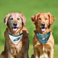 Load image into Gallery viewer, Philadelphia Eagles Zubaz Reversible Dog Bandana
