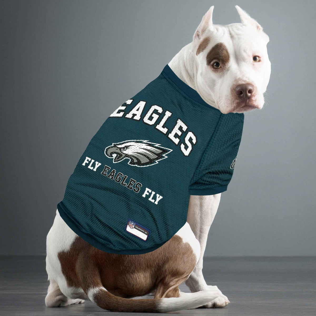 NFL Philadelphia Eagles Raglan Dog Jersey