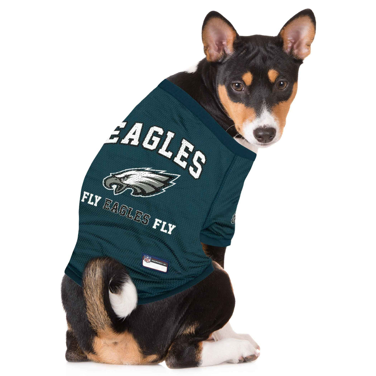 NFL Philadelphia Eagles Raglan Dog Jersey