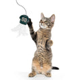 Load image into Gallery viewer, Philadelphia Eagles Team Jersey Wand With Catnip
