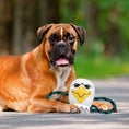 Load image into Gallery viewer, Philadelphia Eagles Mascot Rope Toy
