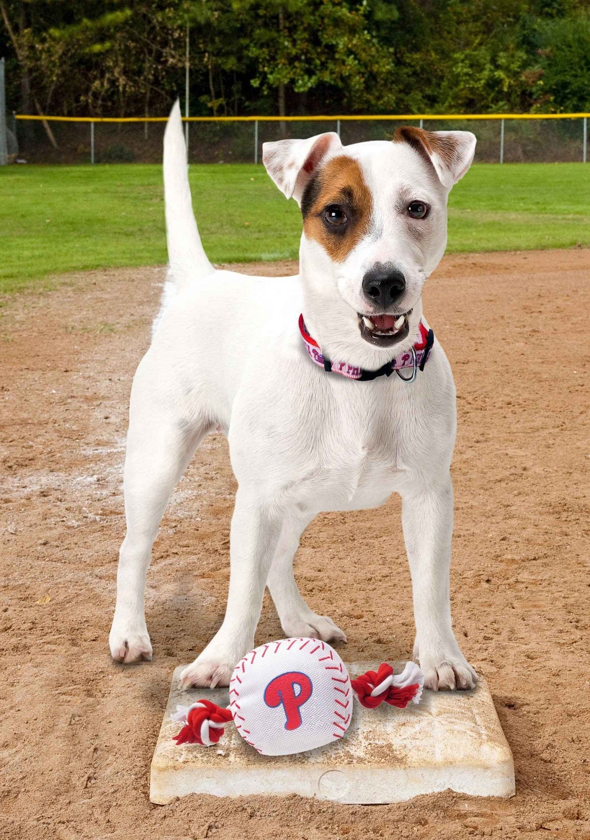 Philadelphia Phillies Nylon Baseball Rope Toy
