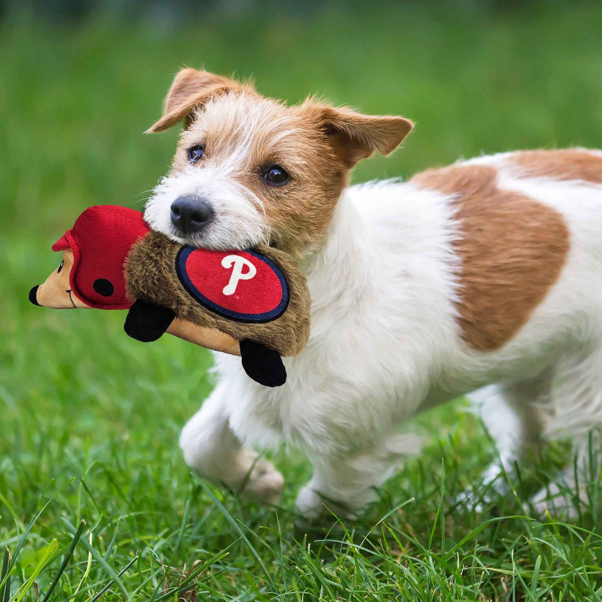 Philadelphia Phillies Plush Hedgehog Toy