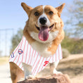 Load image into Gallery viewer, MLB Philadelphia Phillies Mesh Dog Jersey
