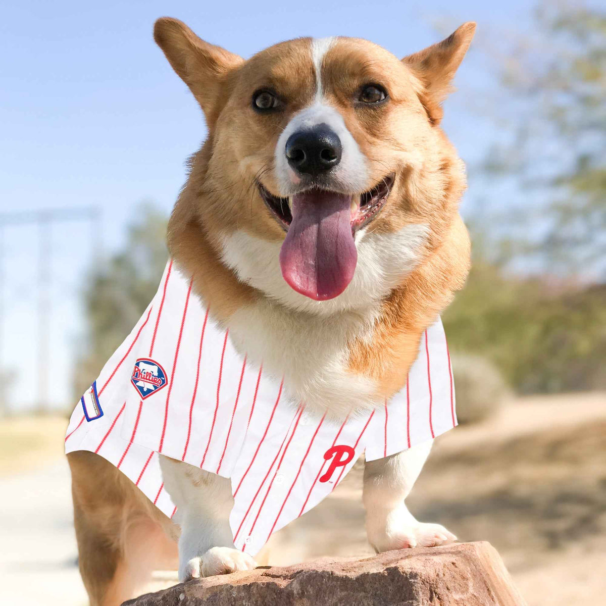 MLB Philadelphia Phillies Mesh Dog Jersey