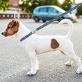 Load image into Gallery viewer, Philadelphia Union Satin Ribbon Leash
