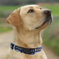 Load image into Gallery viewer, Philadelphia Union Satin Collar

