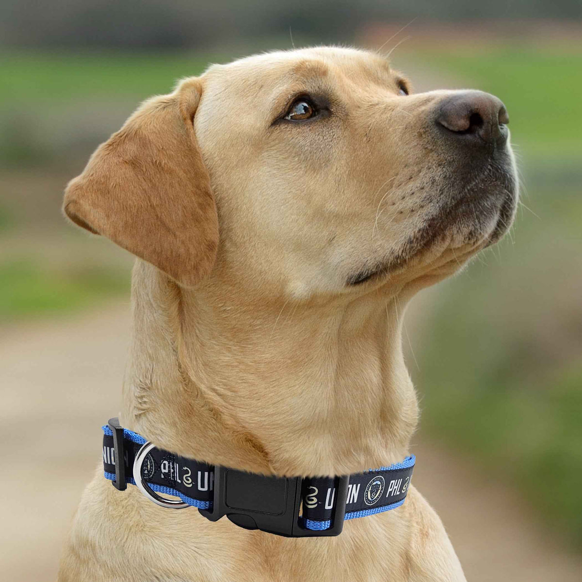 Philadelphia Union Satin Collar