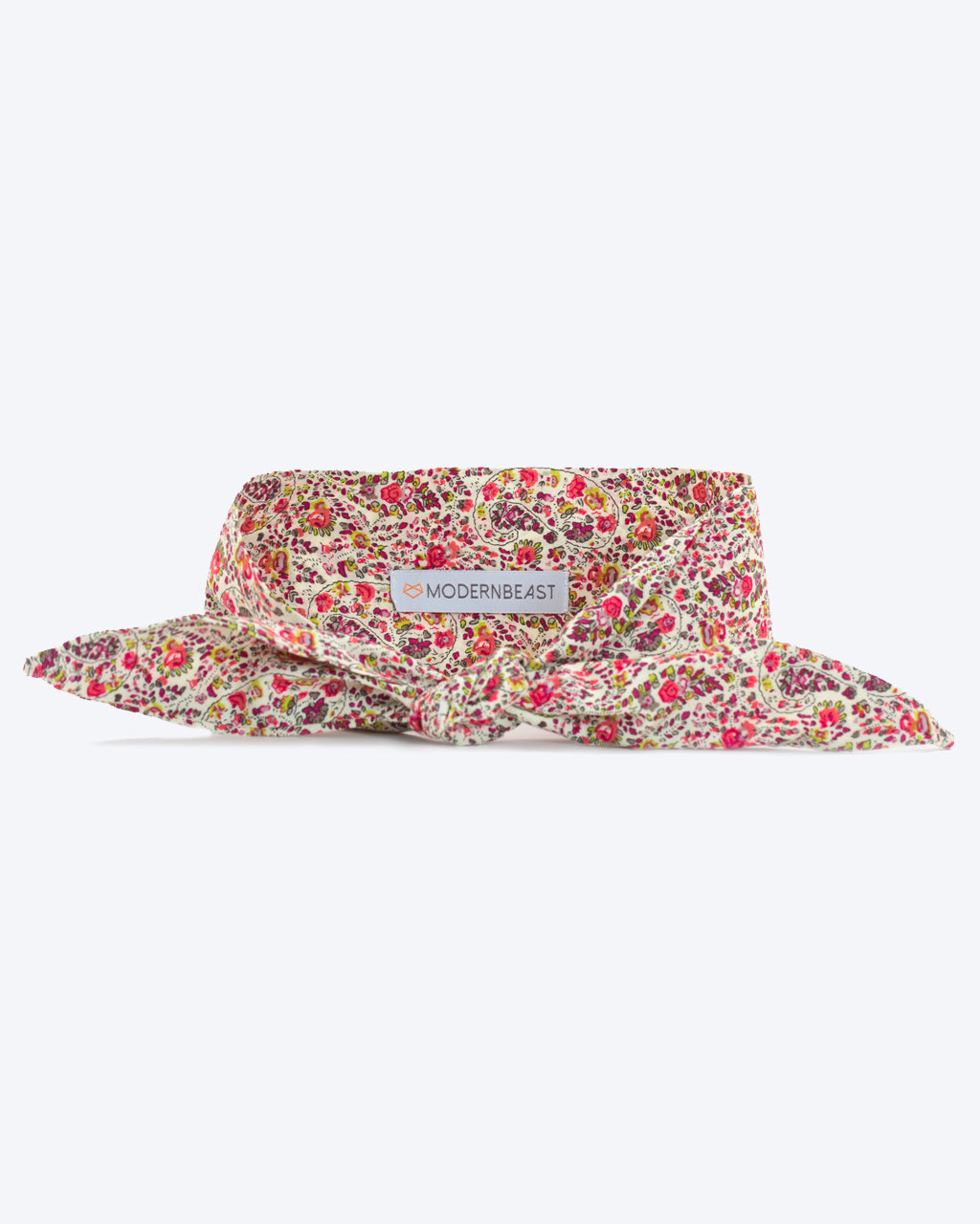 CLASSIC NECKTIE - Southlake Paws