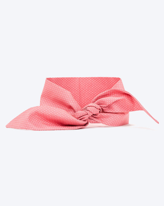 CLASSIC NECKTIE - Southlake Paws