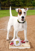 Load image into Gallery viewer, Pittsburgh Pirates Nylon Baseball Rope Toy
