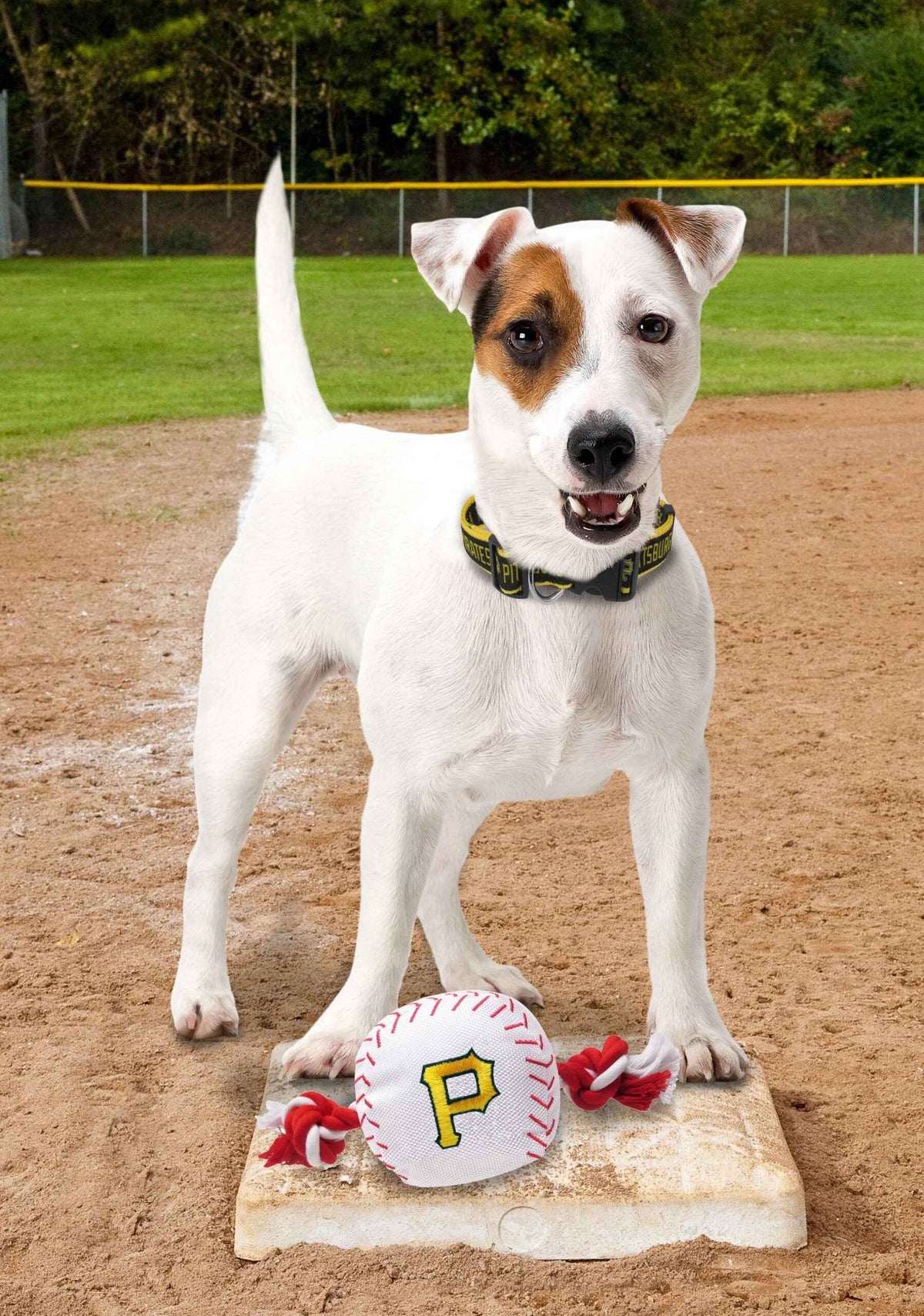 Pittsburgh Pirates Nylon Baseball Rope Toy
