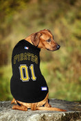 Load image into Gallery viewer, MLB Pittsburgh Pirates Mesh Dog Jersey

