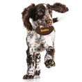 Load image into Gallery viewer, Pittsburgh Steelers Hard Nylon Football Chew Toy
