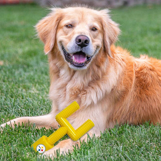 Pittsburgh Steelers Hard Nylon Goal Post Chew Toy