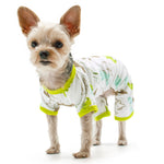 Dogo PJ Dinosaur