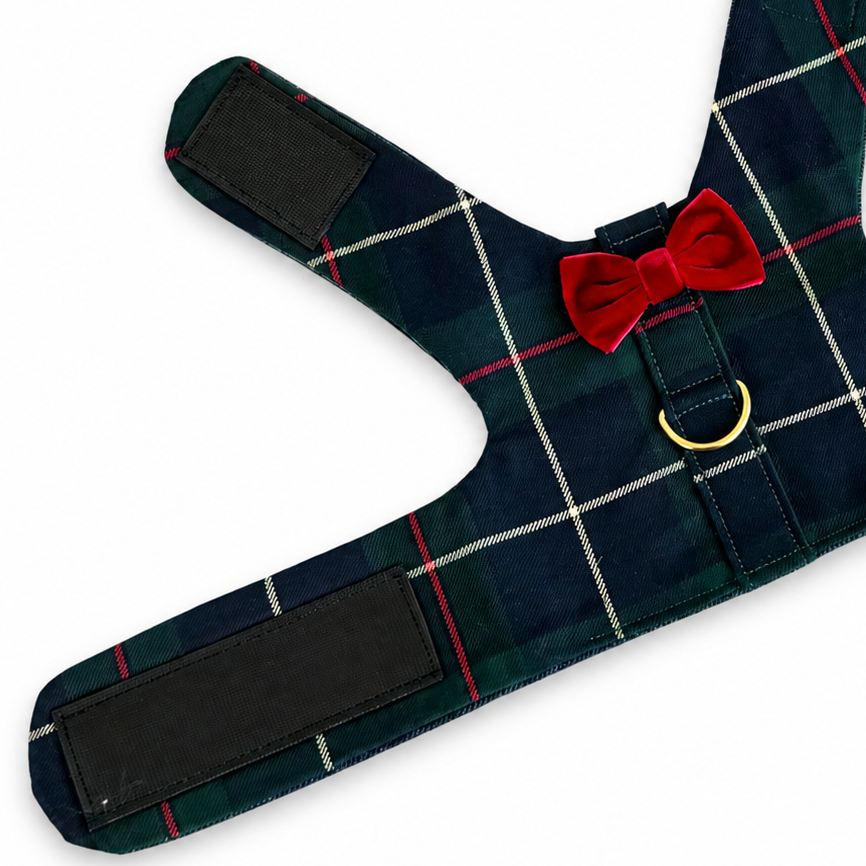 Green Plaid Harness