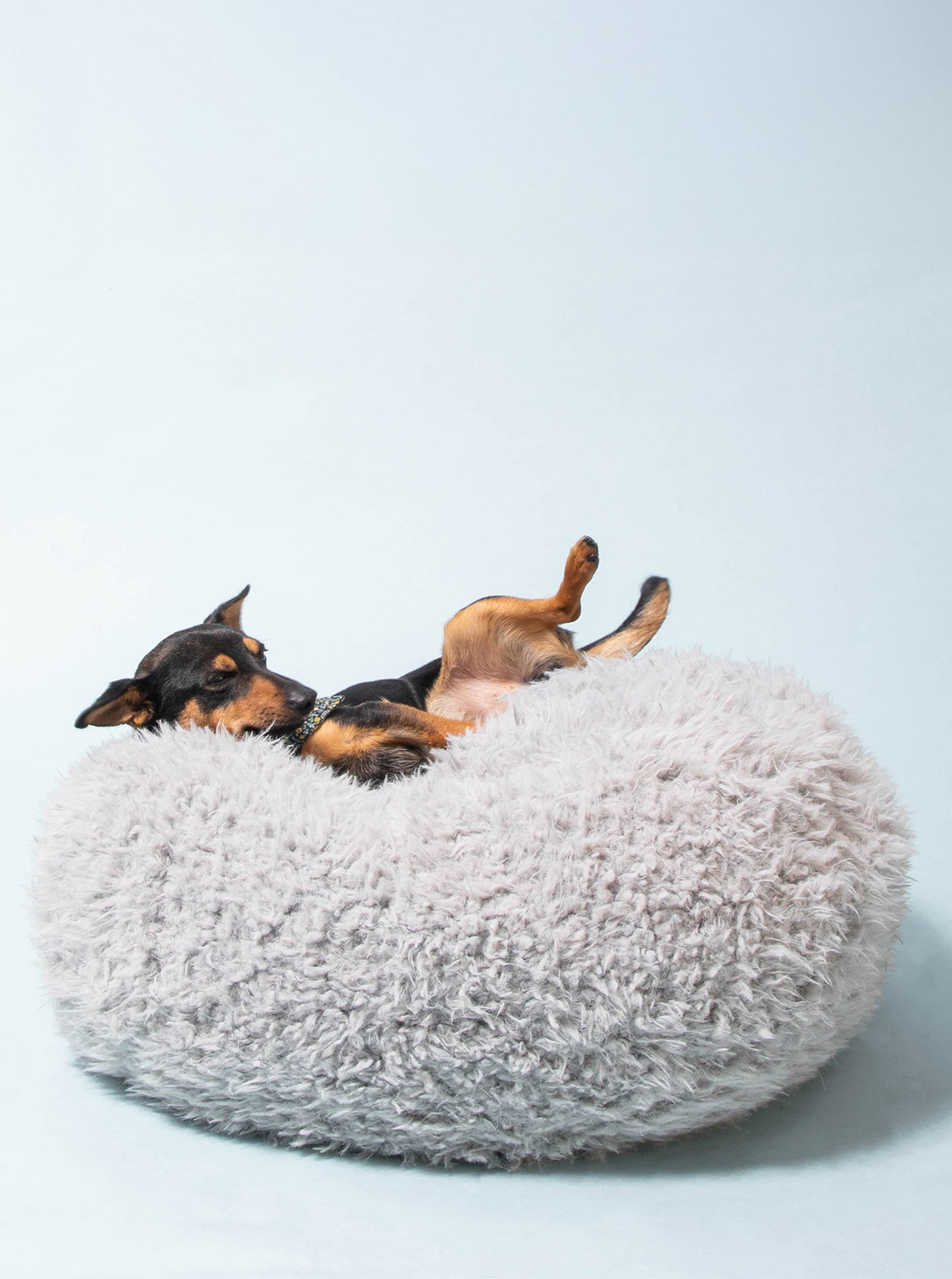 POD DOG BED - Southlake Paws