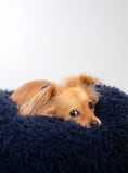 Load image into Gallery viewer, POD DOG BED - Southlake Paws
