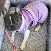 Parisian Pet 'Pampered Poochie' Luxury Dog Shirt – Trendy Embroidered Dog Apparel for Small Dogs & Cats, Purple