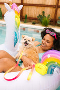 Load image into Gallery viewer, Katelin All Weather Dog Leash
