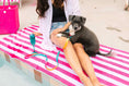 Load image into Gallery viewer, Pippa All Weather Dog Leash
