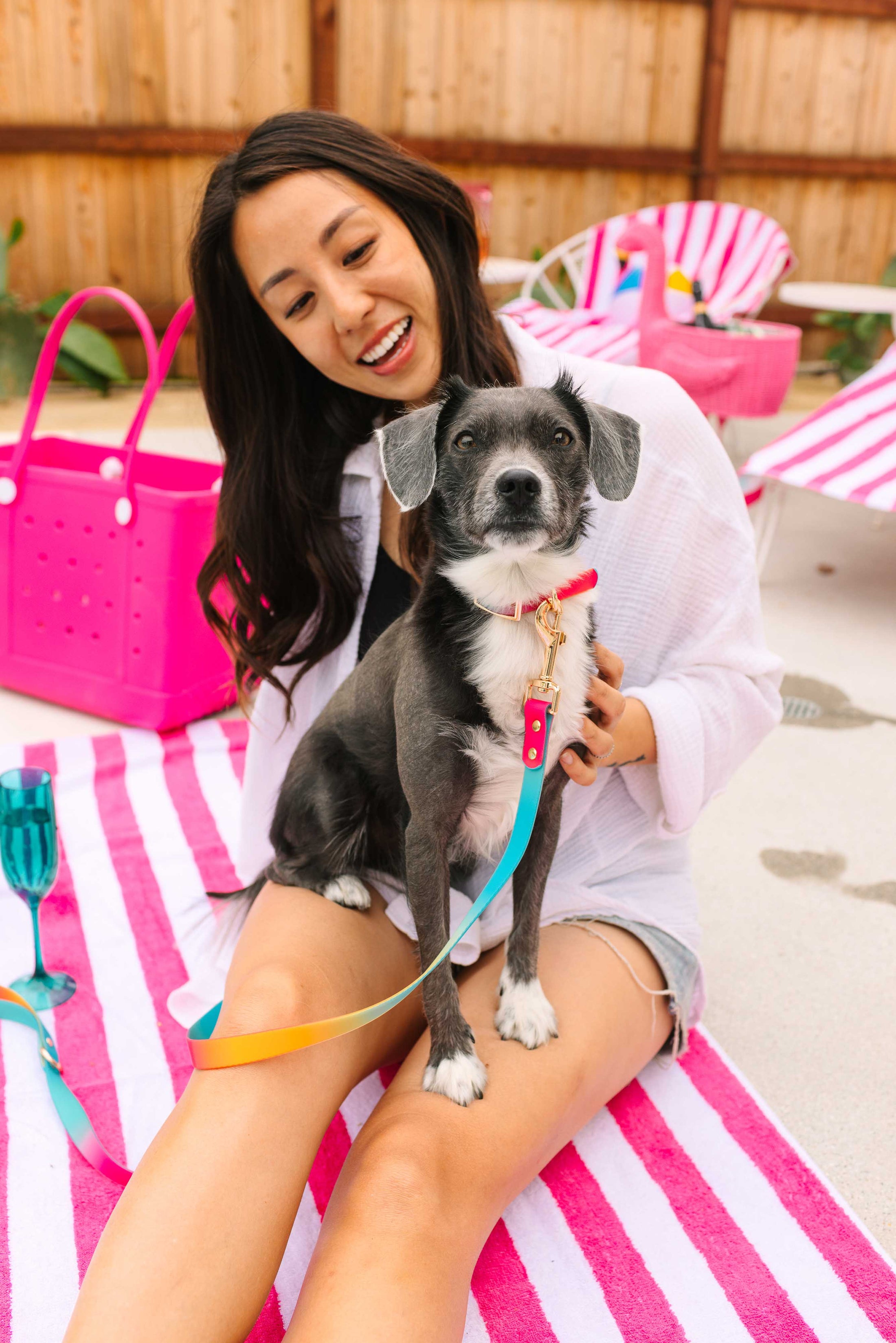 Pippa Dog Collar