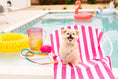 Load image into Gallery viewer, Cleo Waste Bag Holder & Treat Pouch
