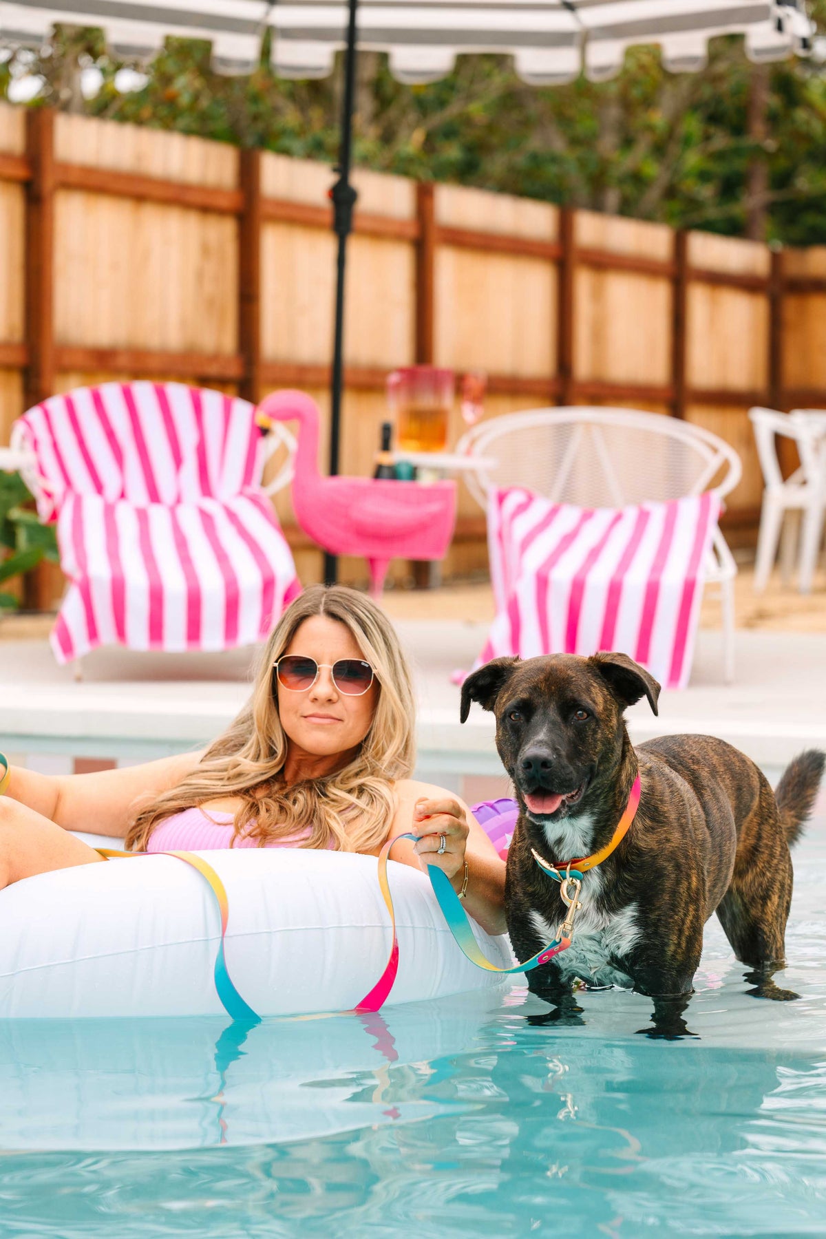 Pippa Dog Collar