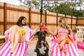 Load image into Gallery viewer, Katelin All Weather Dog Leash
