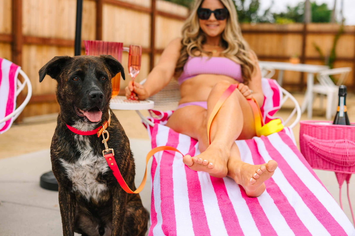 Katelin All Weather Dog Leash